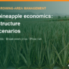 MD2 pineapple economics: cost structure, real yields and break-even price – AgrifoodV