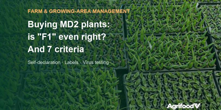 Buying MD2 pineapple plants: why “F1” is wrong and 7 supplier criteria