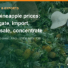 MD2 pineapple prices: Vietnam farm-gate, import, wholesale and concentrate – AgrifoodV