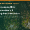MD2 pineapple Brix: how to measure it, Codex and buyer thresholds – AgrifoodV