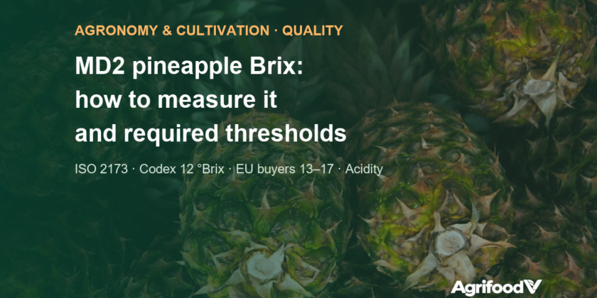MD2 pineapple Brix: how to measure it, Codex and buyer thresholds