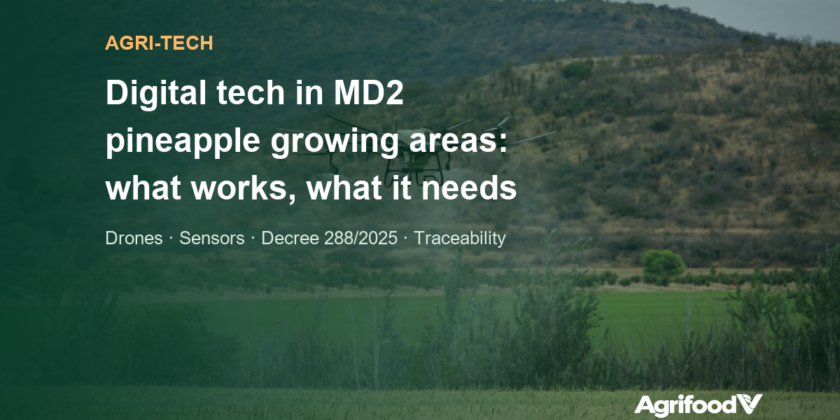 Digital technology in MD2 pineapple growing areas: drones, sensors and data