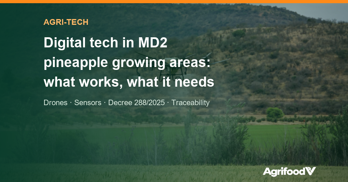 Digital technology in MD2 pineapple growing areas: drones, sensors and data