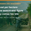 MD2 pineapple cost per hectare: why the season-end figure is too late – AgrifoodV