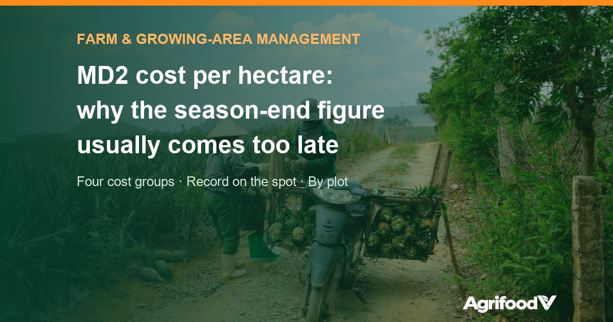 MD2 pineapple cost per hectare: why the season-end figure is too late