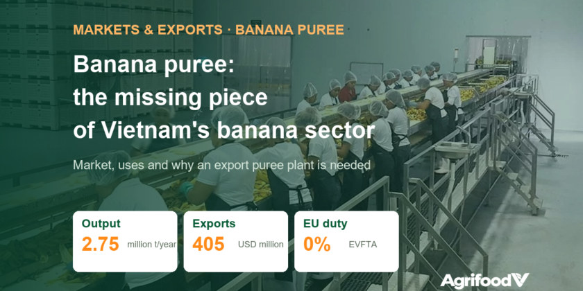 Banana puree: market, uses and why Vietnam needs an export plant