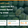 China approves 401 Vietnamese durian growing areas in 14 August 2026 batch – AgrifoodV