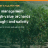 Dry-Season Water Management for High-Value Crops: Drought and Salinity in 2026–2027 – AgrifoodV