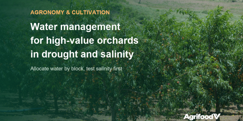 Dry-Season Water Management for High-Value Crops: Drought and Salinity in 2026–2027