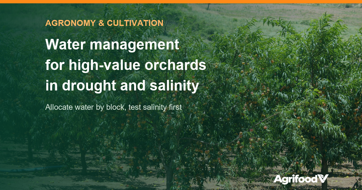 Dry-Season Water Management for High-Value Crops: Drought and Salinity in 2026–2027