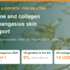 Vietnam Fish Gelatine and Collagen from Pangasius Skin: Markets, Tariffs, Standards – AgrifoodV