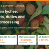 Vietnam Lychee Export: Markets, Duties, Standards and Deep Processing – AgrifoodV