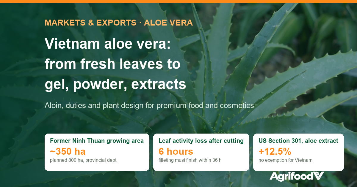 Vietnam Aloe Vera: From Fresh Leaves to Gel, Powder and Extracts for Premium Markets