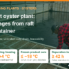 Oyster Processing Plant in Six Stages: From Farm Raft to Container and Temperatures – AgrifoodV