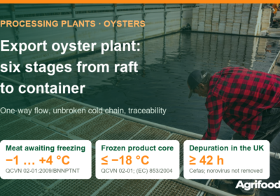 Oyster
