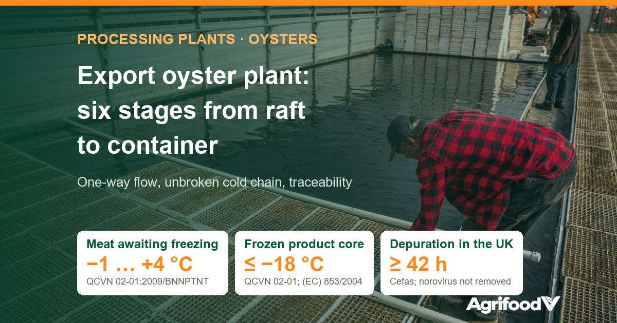 Oyster Processing Plant in Six Stages: From Farm Raft to Container and Temperatures