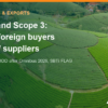 ESG and Scope 3 Emissions: What Foreign Buyers Ask of Vietnamese Agri Suppliers – AgrifoodV