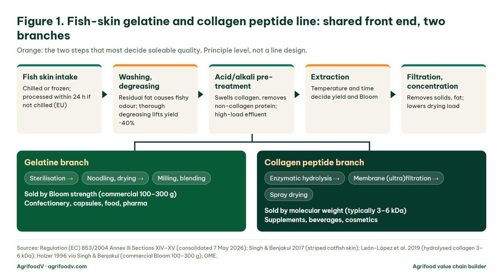 Process diagram of a gelatine and collagen peptide line from fish skin: receiving, defatting, acid or alkali pretreatment, extraction, filtration and concentration, then splitting into a gelatine branch and a collagen peptide branch
