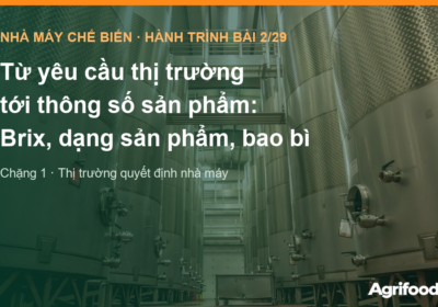 Từ