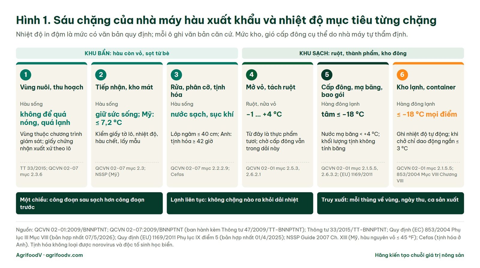 Sơ đồ sáu chặng của nhà máy hàu xuất khẩu: vùng nuôi, tiếp nhận, rửa và tịnh hóa ở khu bẩn; mở vỏ giữ −1 đến +4 °C, cấp đông tâm ≤ −18 °C, kho lạnh và container ≤ −18 °C ở khu sạch, kèm văn bản căn cứ từng chặng