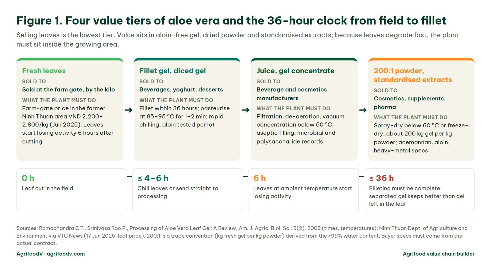 Diagram of the four value tiers of aloe vera: fresh leaves, fillet gel and diced gel, juice and gel concentrate, 200:1 powder and standardised extracts, with the 36-hour clock from leaf cutting to filleting