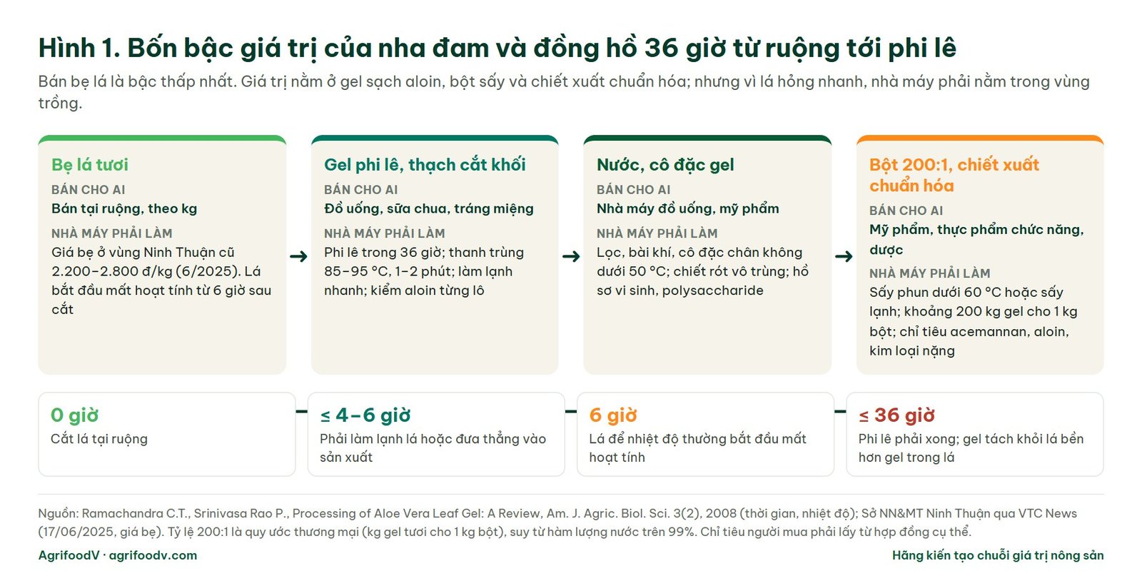Sơ đồ bốn bậc giá trị của nha đam: bẹ lá tươi, gel phi lê và thạch cắt khối, nước và cô đặc gel, bột 200:1 và chiết xuất chuẩn hóa, kèm đồng hồ 36 giờ từ cắt lá tới phi lê